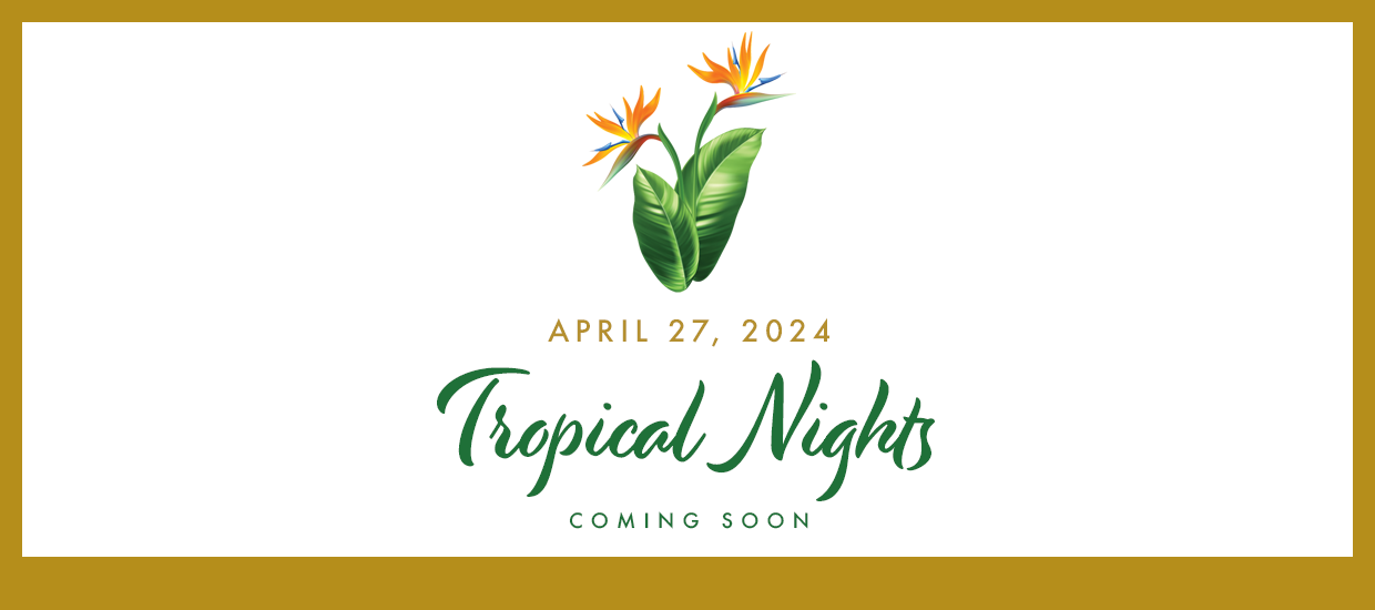 Tropical Nights 2024