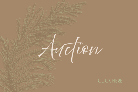 Tropical Nights Auction